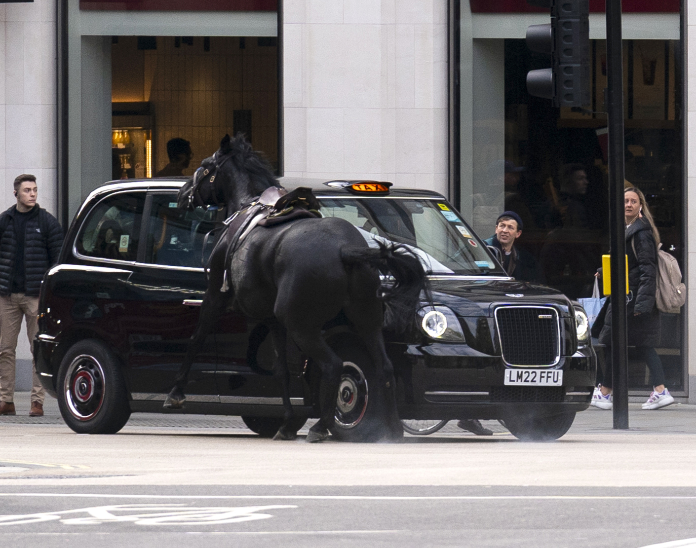 Un caballo chocó con un taxi mientras los siete animales de la Guardia de la Casa corrían sueltos